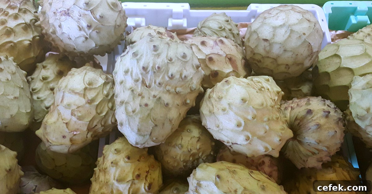 santiagos fruit stand cherimoya