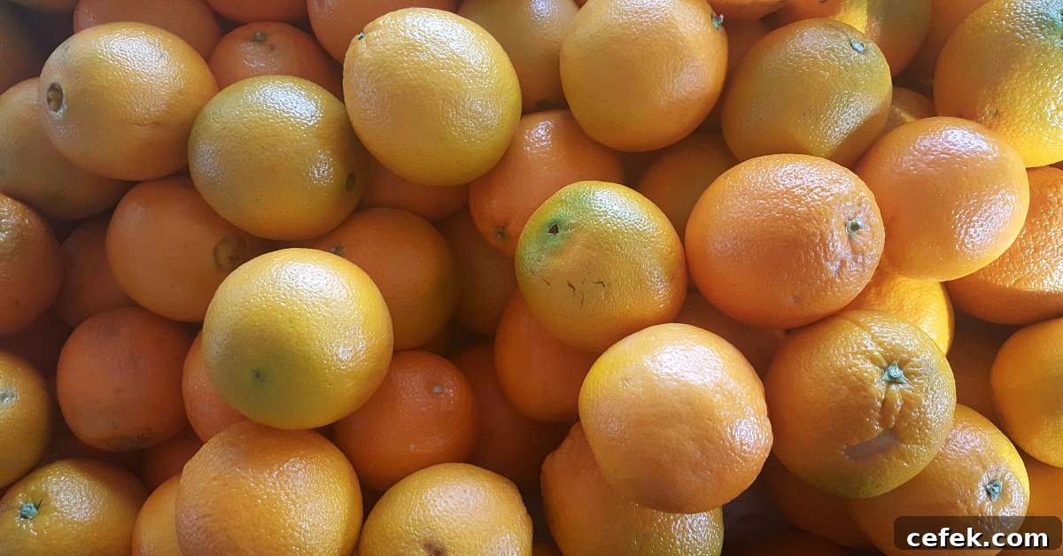 santiagos fruit stand oranges