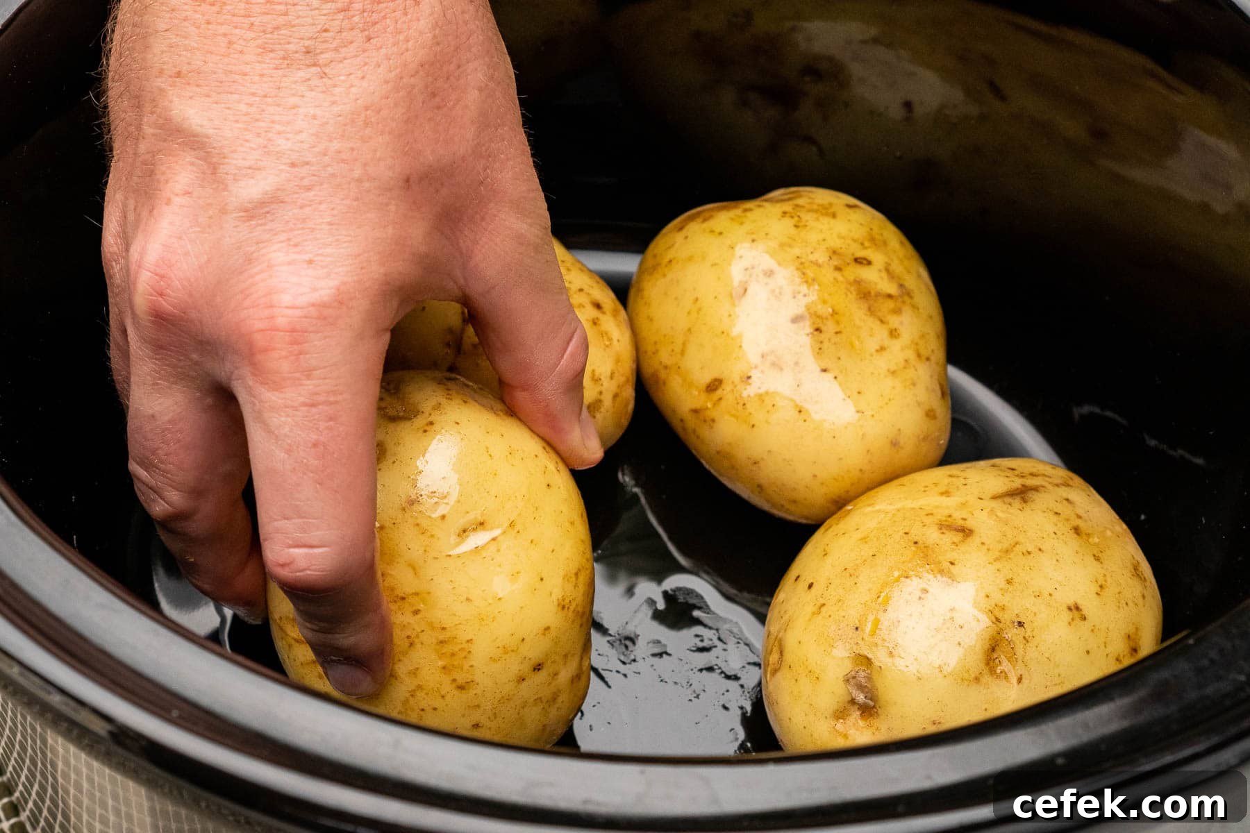 Placing four jacket potatoes into a slow cooker and rolling them in olive oil by hand