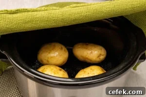 Placing a green towel over the top of a slow cooker with four potatoes in the bottom of the cooker