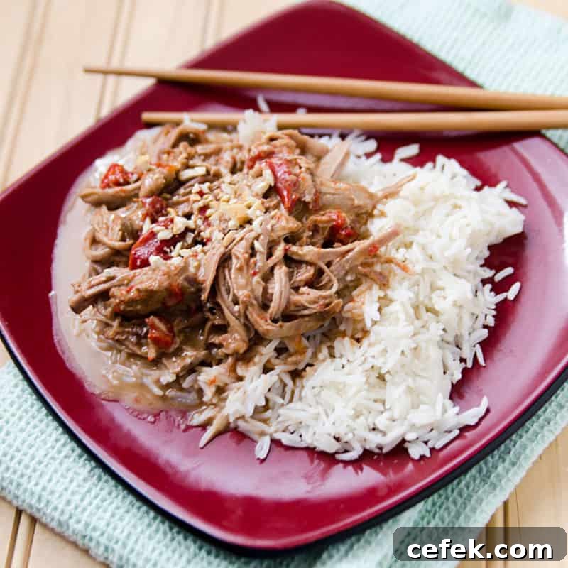 red plate with Thai pork and rice next to chopsticks