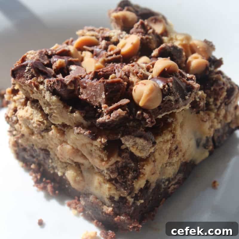 Chocolate Peanut Butter Brownie on a white plate