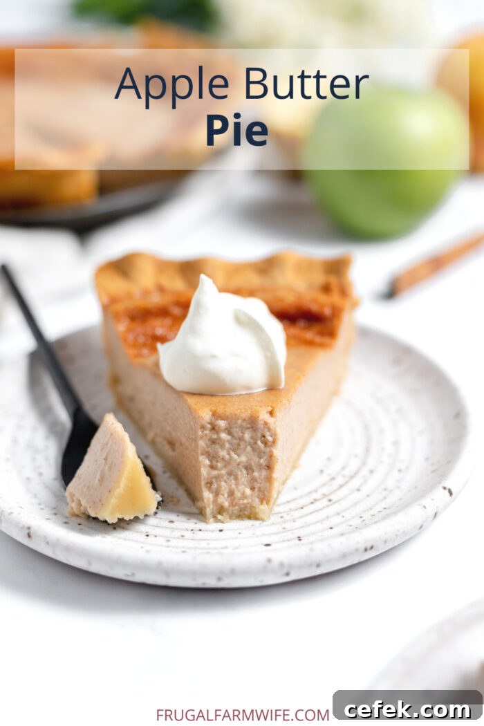 apple butter pie on a plate