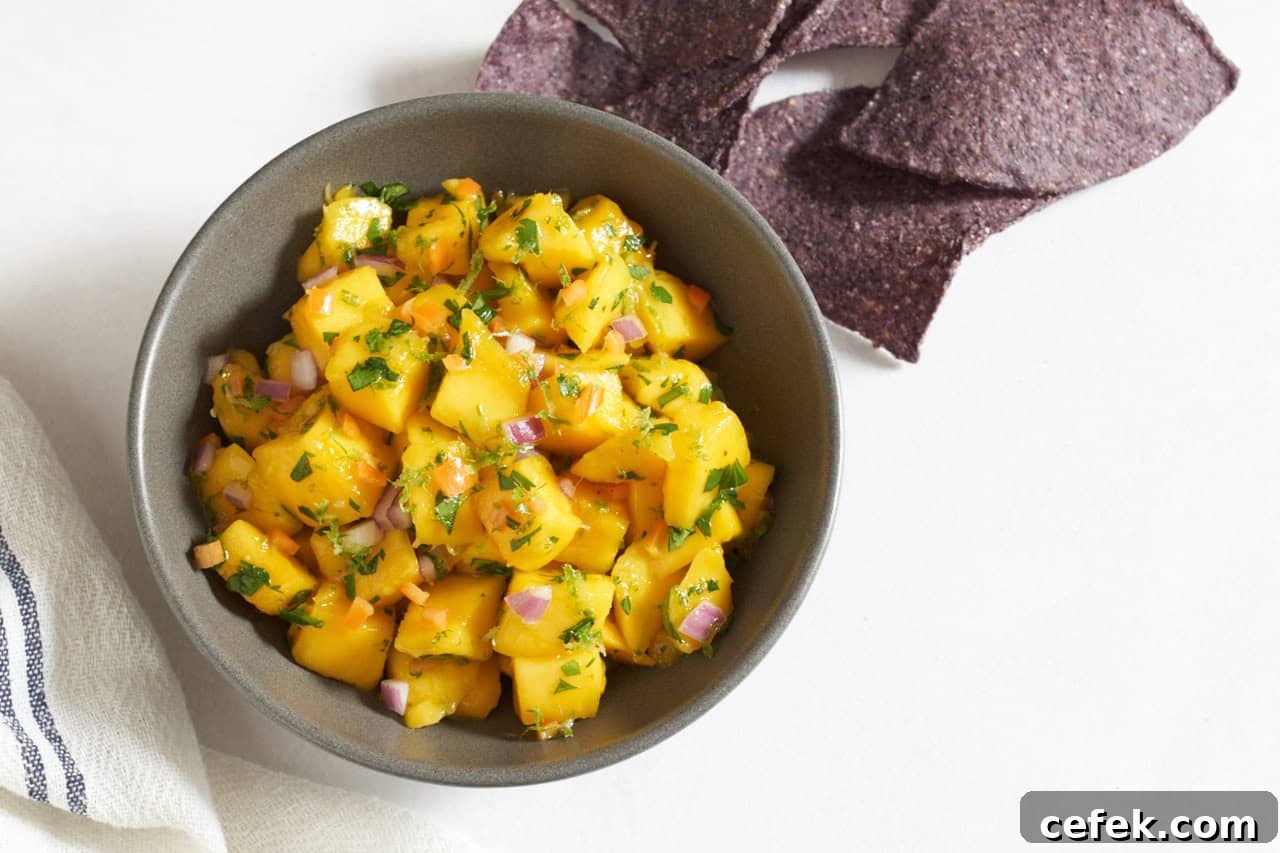 A bowl of mango habanero salsa surrounded by blue corn tortilla chips.