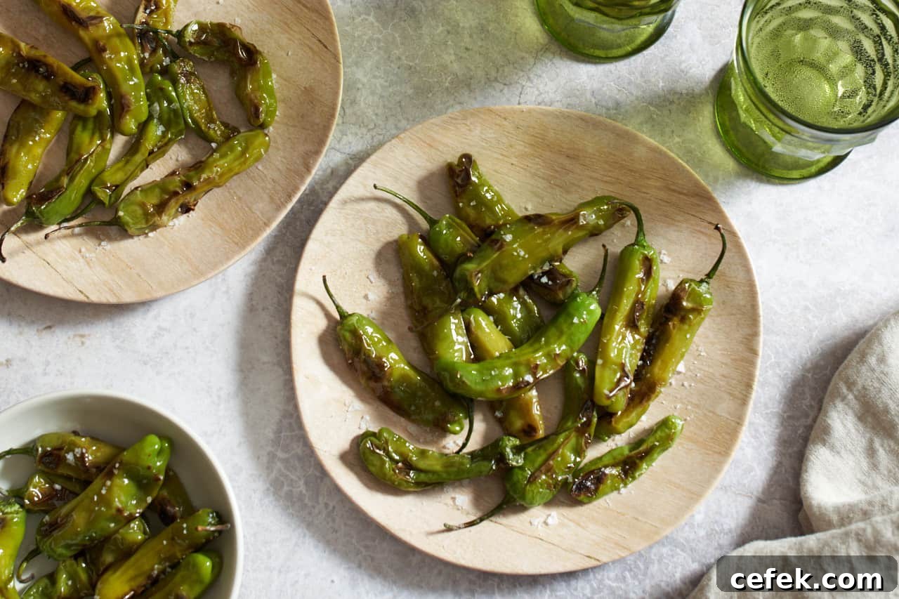 Two plates and a bowl of blistered shishito peppers.