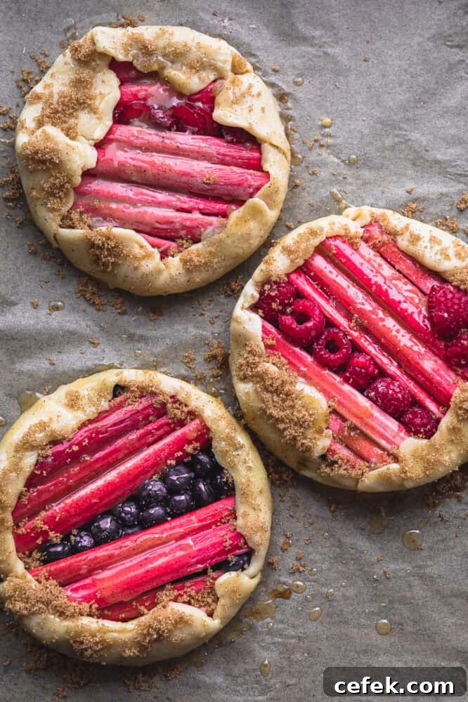 rhubarb galettes with fresh berries with dough sprinkled on crust and ready to go in the oven.