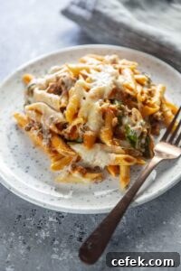 serving of pasta bake with penne pasta and cheese on plate