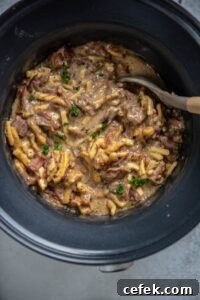 beef and noodles in a round slow cooker