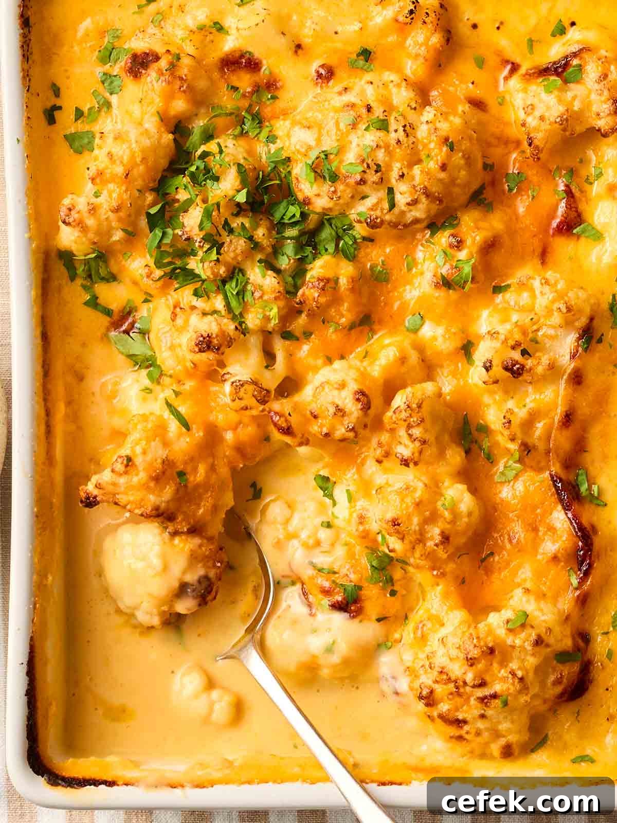 A close up of a dish of baked Cauliflower Cheese.