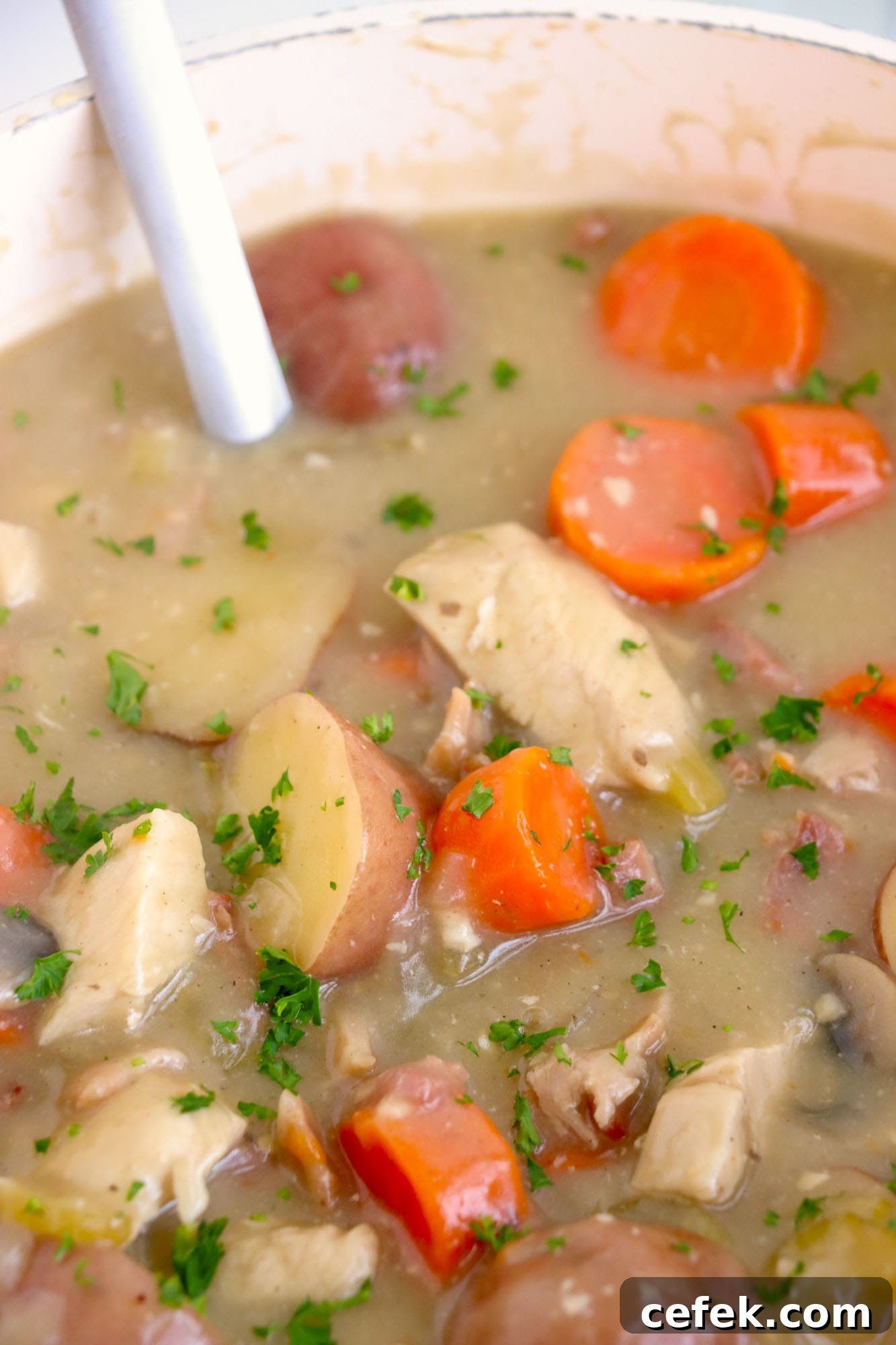 Chicken stew in a pot, close up shot showing chicken, carrots and potatoes.