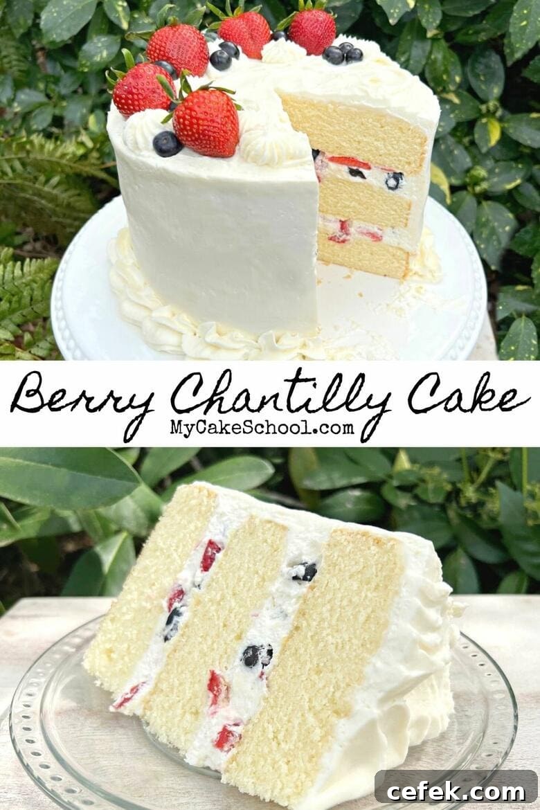 Berry Chantilly Cake-So moist, fruity, and flavorful!