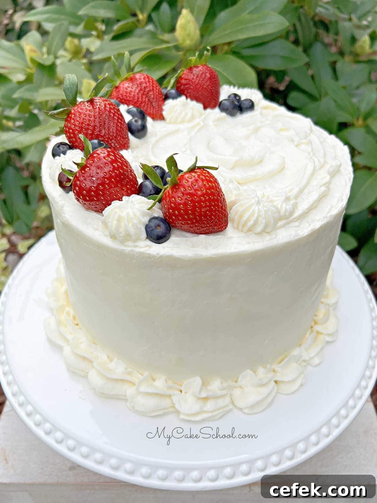 Frosted Berry Chantilly Cake.