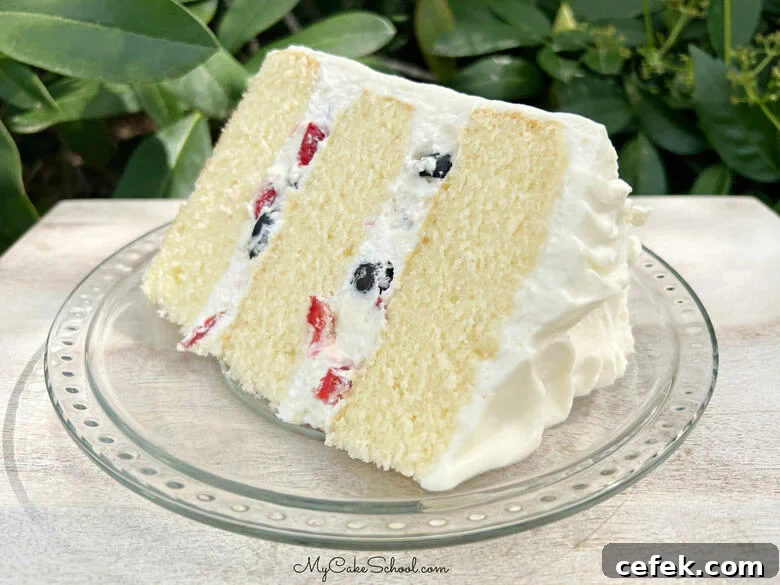 Berry Chantilly Cake
