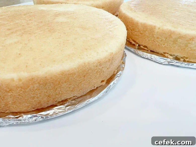 Vanilla Cake Layers for Chantilly Cake