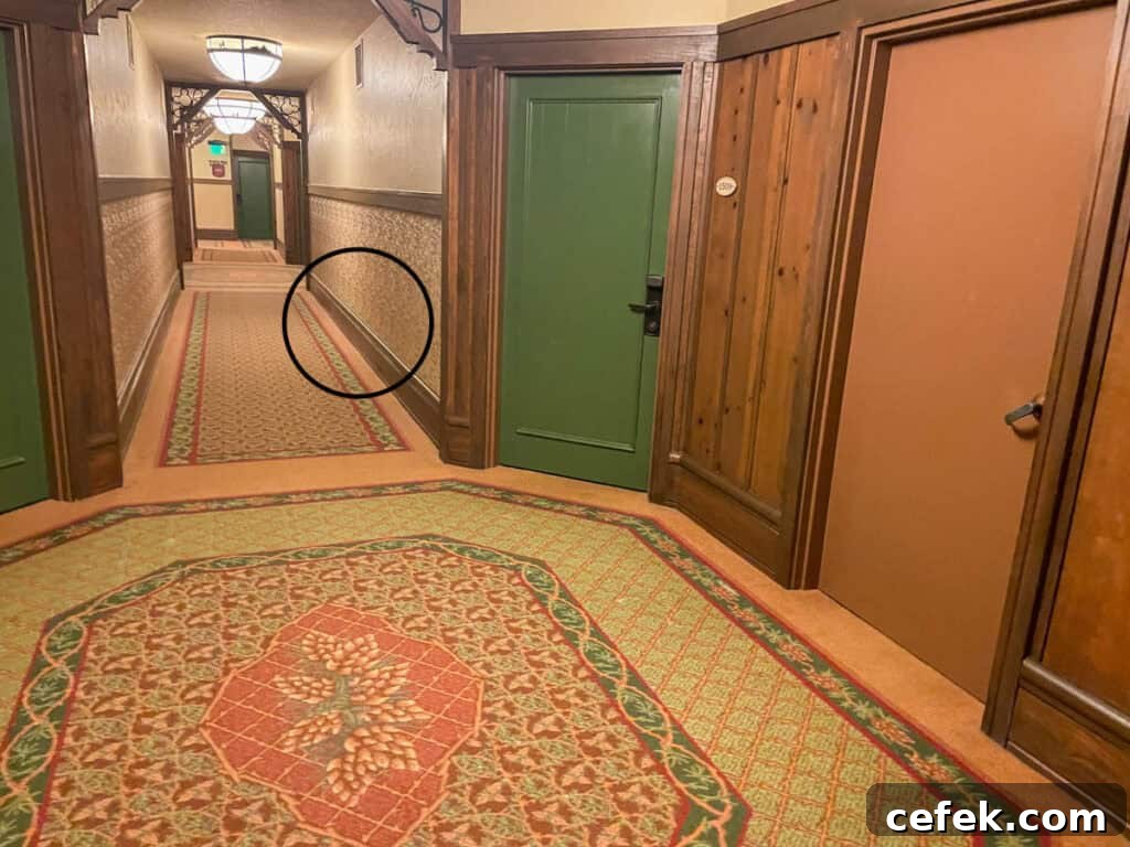 Boulder Ridge Hidden Mickey number 7 hallway.