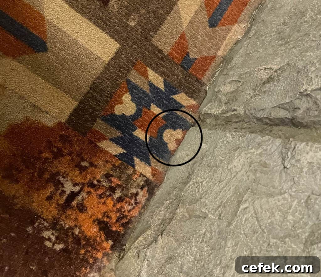 Wilderness Lodge Hidden Mickey number 5.