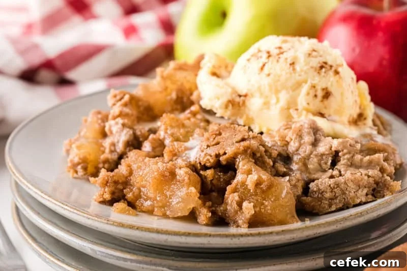 serving of the Apple Spice Dump Cake on stacked plates with vanilla ice cream.