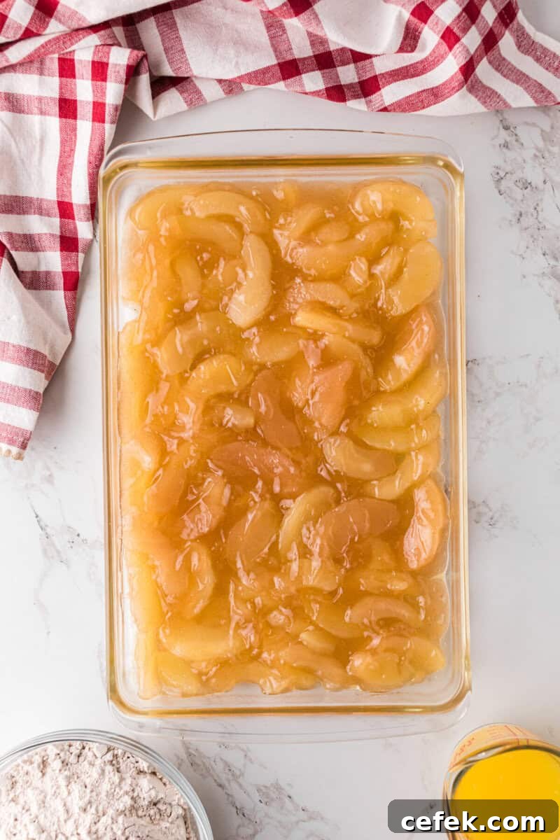 apple pie filling on the bottom of the baking dish.