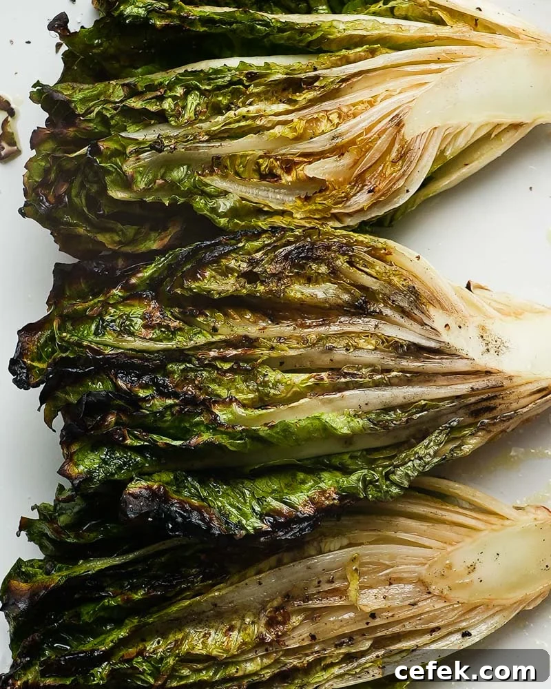 Grilled Little Gem Caesar Salad