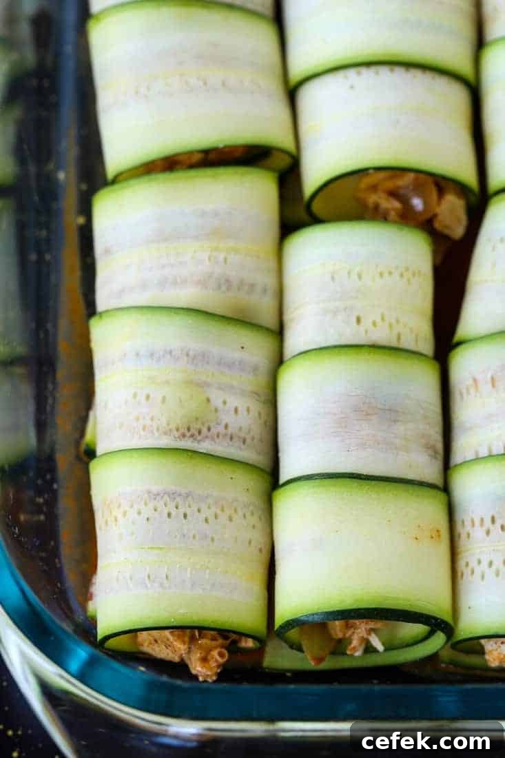 Chicken Stuffed Zucchini Enchiladas 