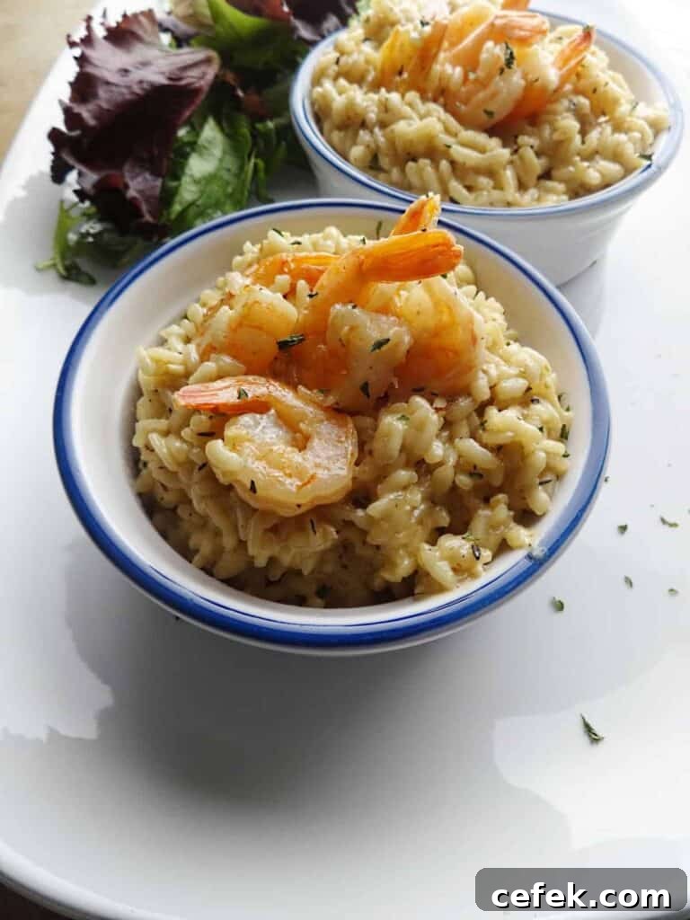 Prawn Risotto Recipe