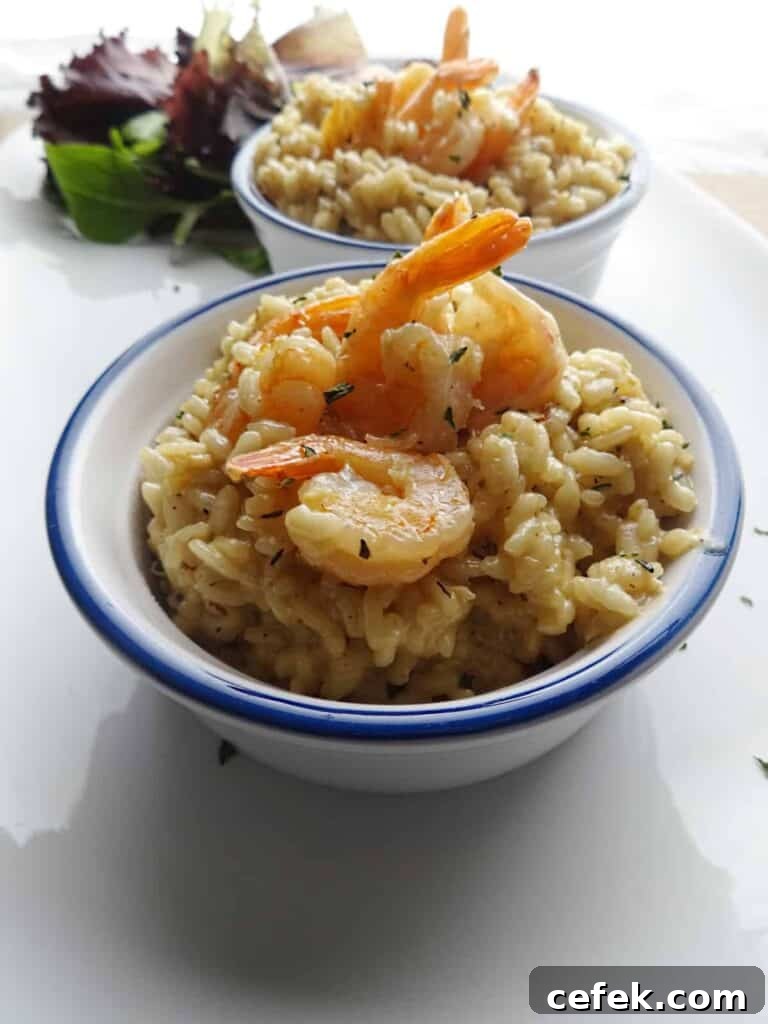 Shrimp with Risotto
