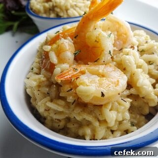 Prawn Risotto Recipe