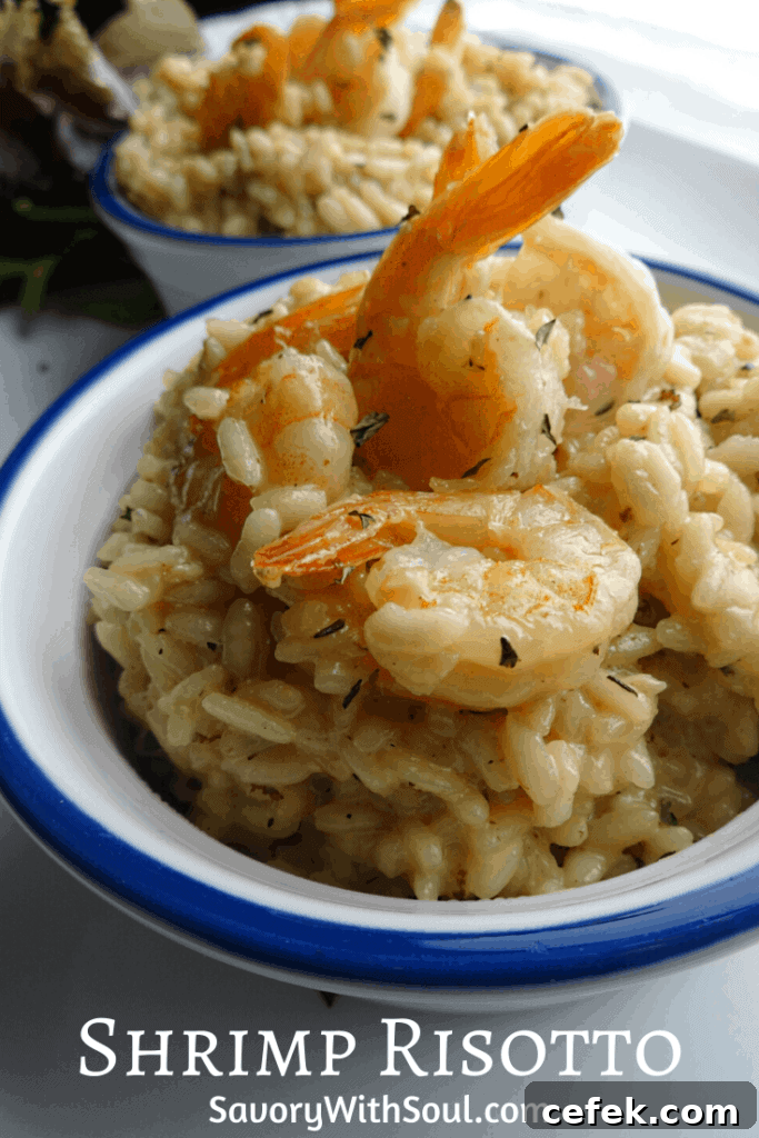 Prawn Shrimp Risotto Pin