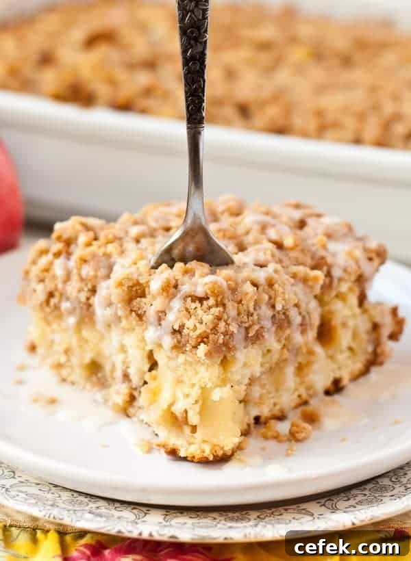 img 19924 13