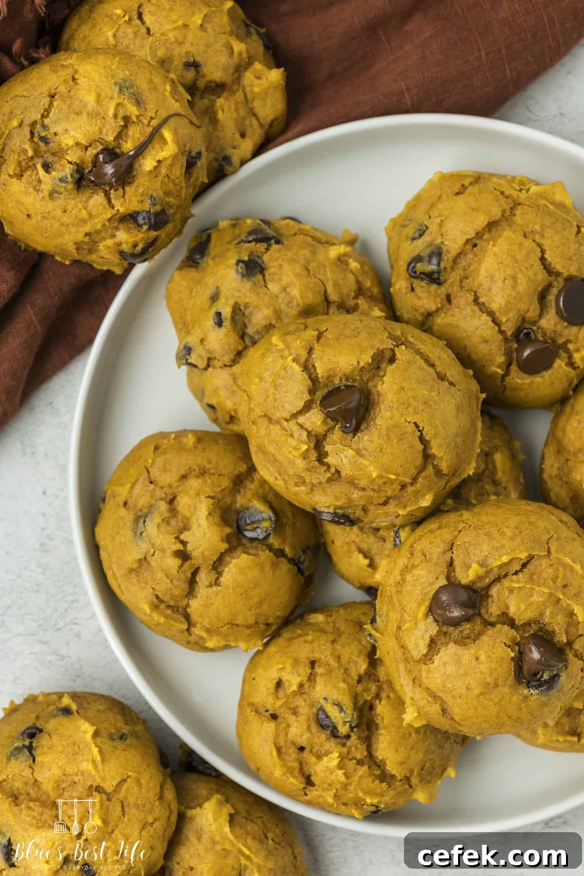 A plate with pumpkin chocolate chip cookies on the table. 