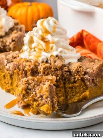 A piece of pumpkin pie dump cake with whipped cream.