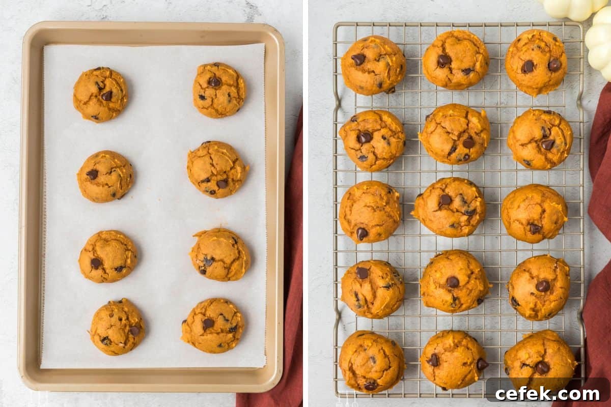 The cookies after they baked and cooling. 