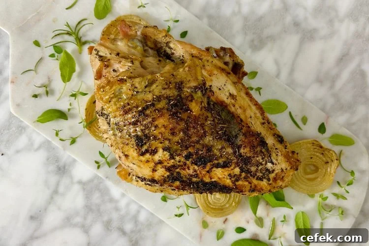 Roasted brined turkey breast in pan