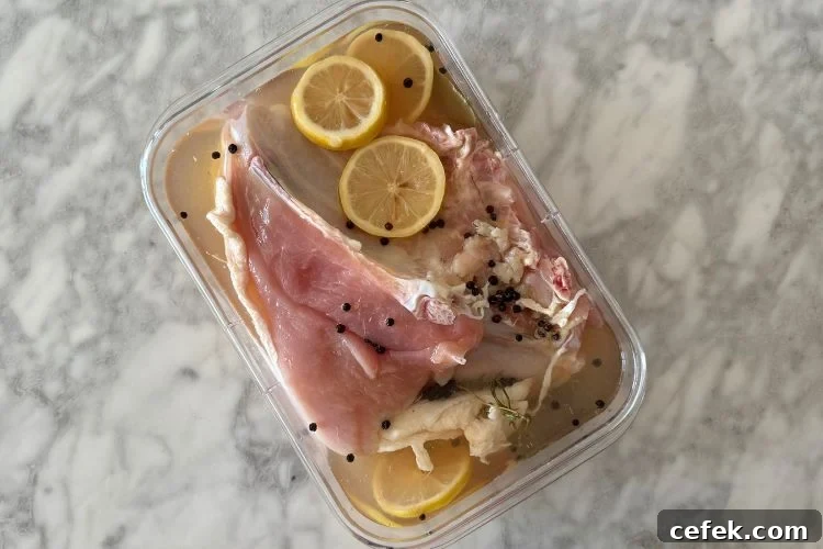 Turkey submerged in the brine