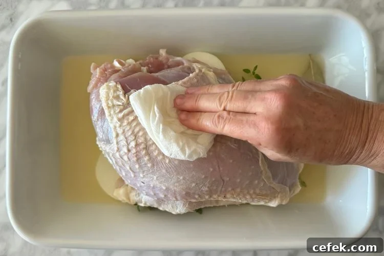 Turkey in roasting pan