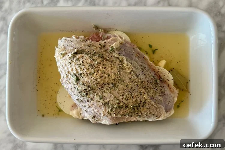 Seasoned turkey in the roasting pan