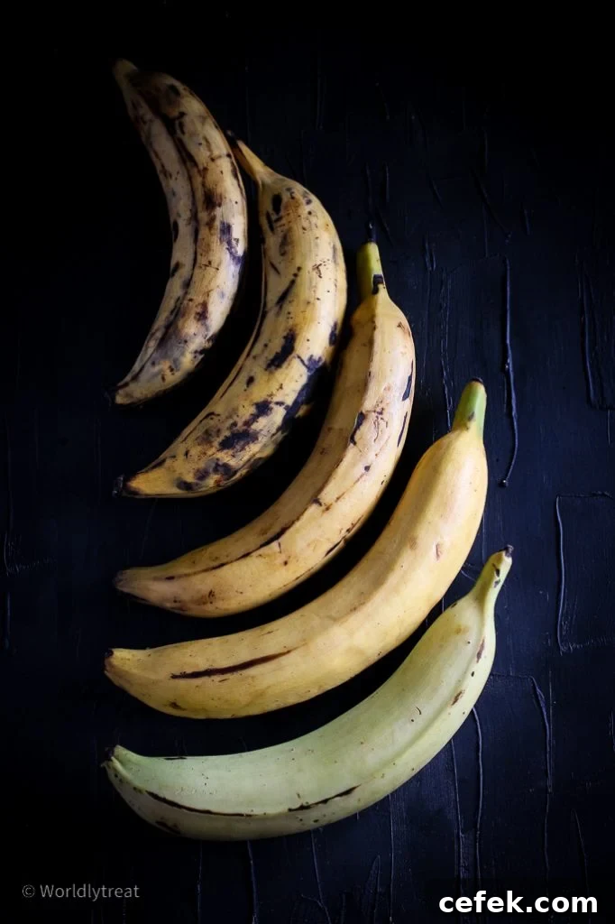 Nutty Plantain Bread