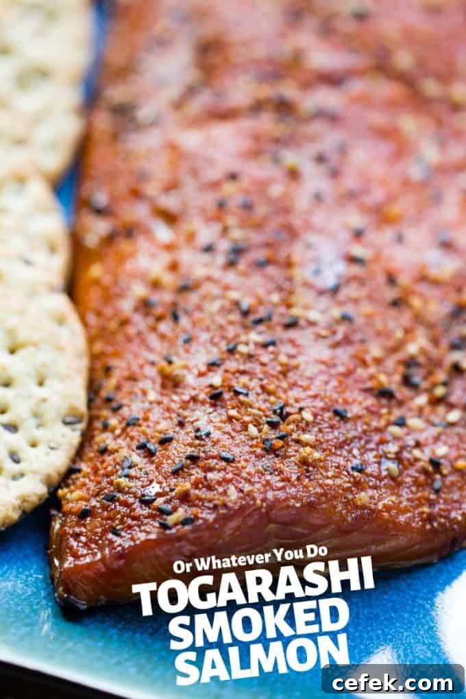 Traeger Togarashi Smoked Salmon