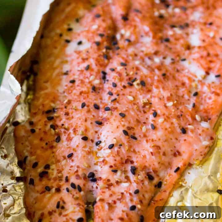 Traeger Togarashi Grilled Salmon-6