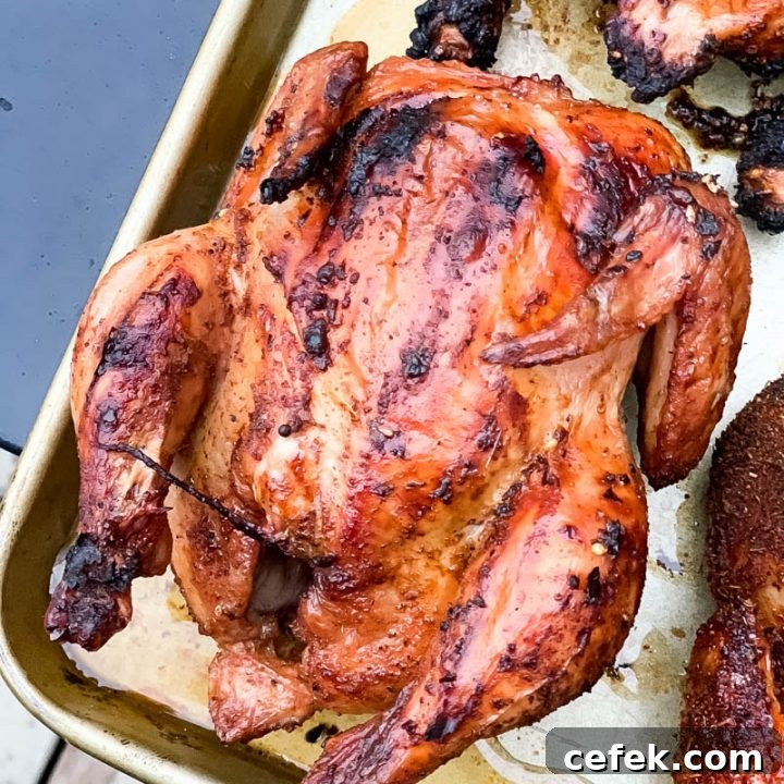 Traeger Cornish Game Hens