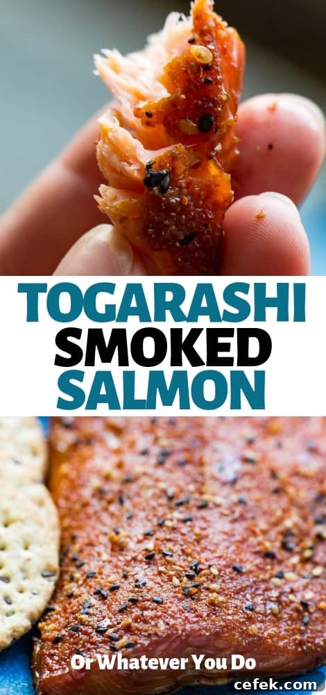Traeger Togarashi Smoked Salmon