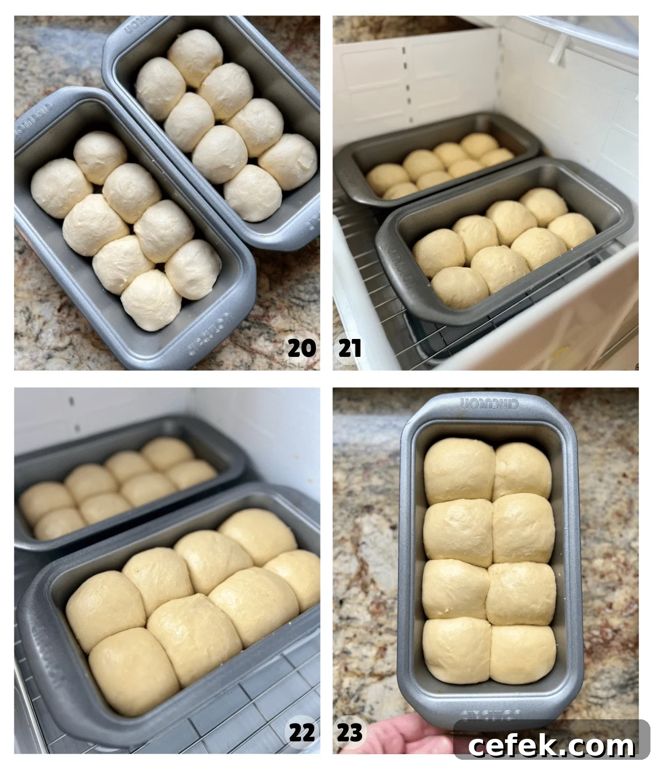 Two 9x5 loaf pans with brioche dough are placed into a proofing box to double in size.
