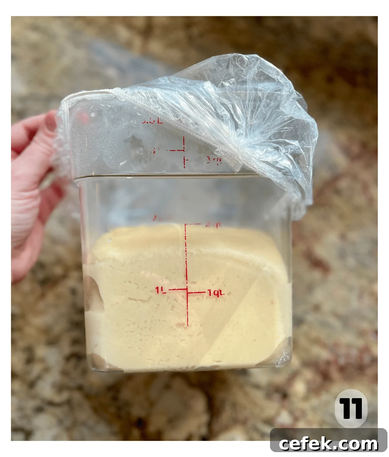 A side view of a square container shows dough that has doubled in size.
