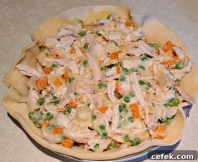 Smoked Turkey Pot pie in pie crust in pie tin
