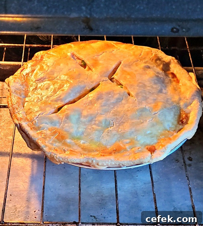 Smoked Turkey pie on oven rack