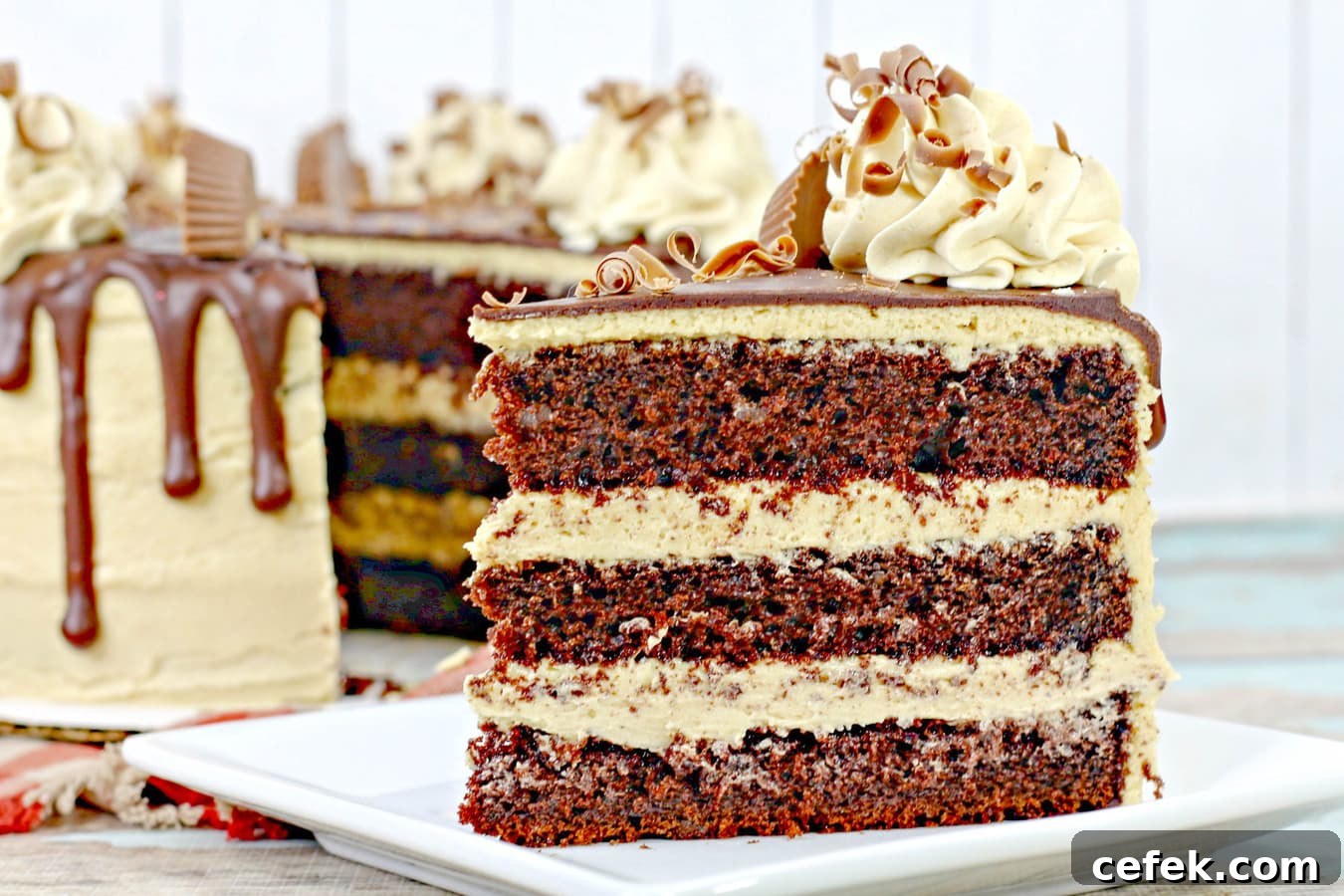 a close up  of a reese's chocolate cake with peanut butter icing.