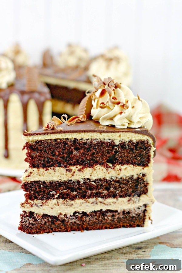 a three layer slice of chocolate cake with peanut butter frosting  and garnished with a peanut butter cup. 