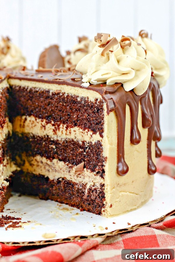 a Reese's cake with a slice cut out of it to reveal three layers of chocolate cake with peanut butter frosting.