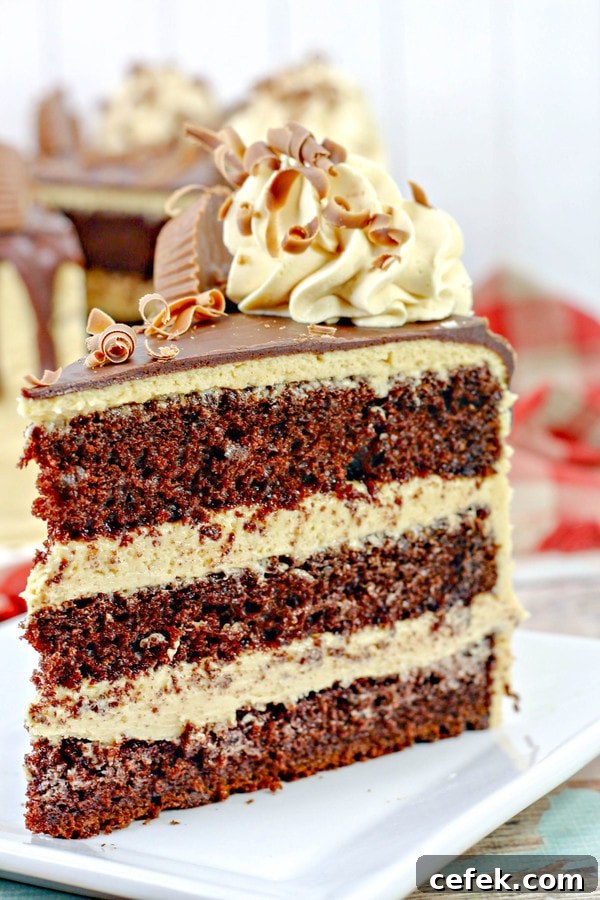 reese's peanut butter cake with chocolate ganache and chocolate curls. 