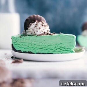 Thin mint cheesecake topped with whipped cream and a cookie garnish.